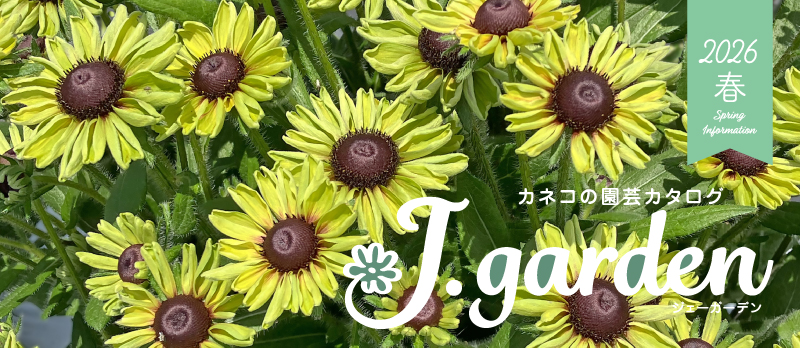 カネコの園芸カタログ『J.garden』最新号