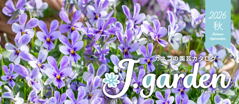 カネコの園芸カタログ『J.garden』最新号
